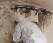molds in your home