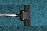 carpet cleaning 